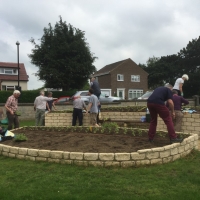 Planting at the War Memorial, Romanby (6)